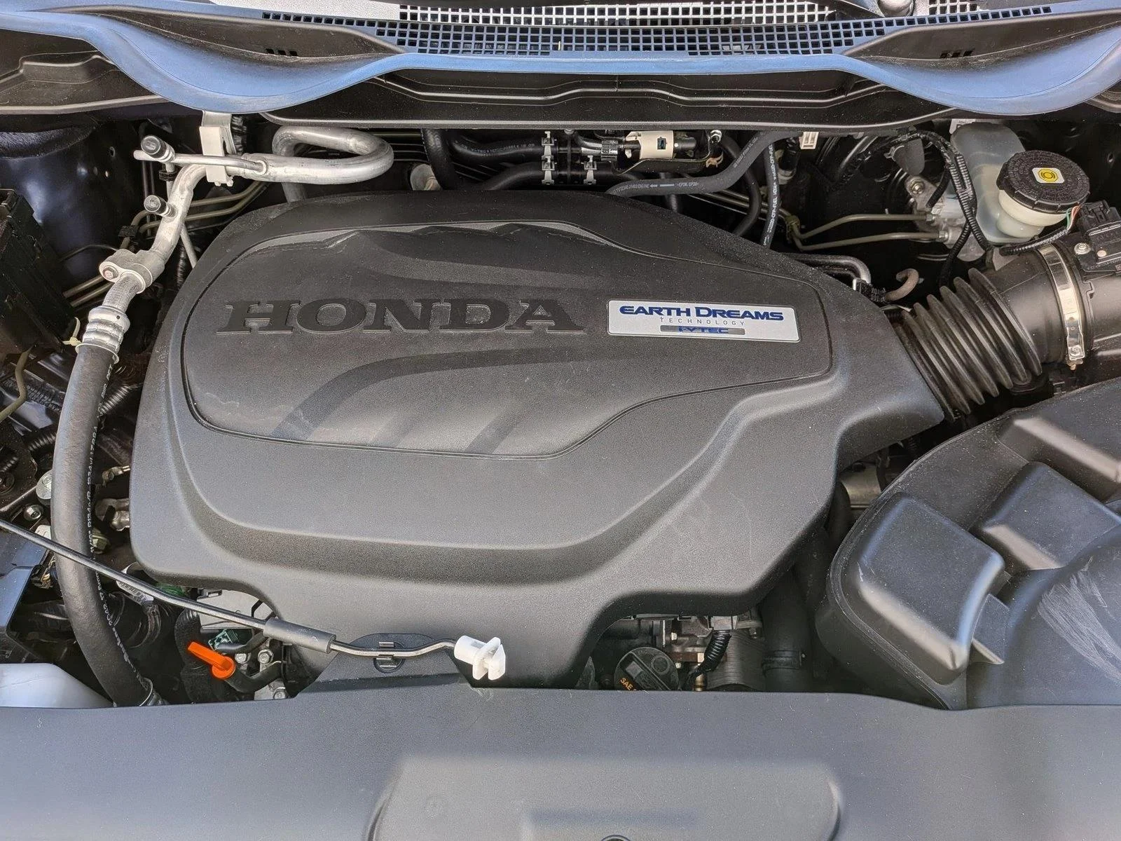 Used 2019 Blue Honda Elite image 25