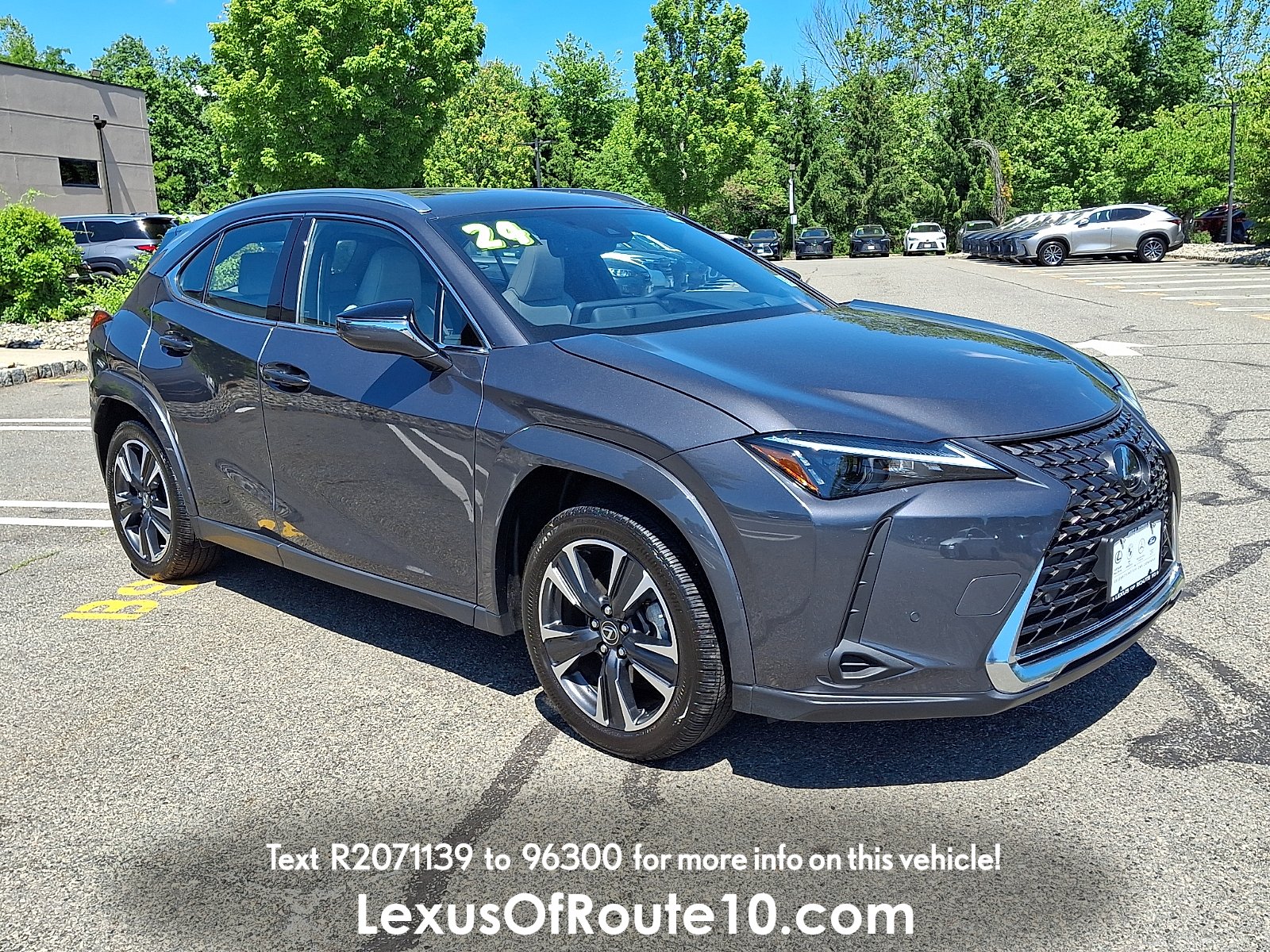 2024 Lexus UX 300h 250h Premium AWD's photo