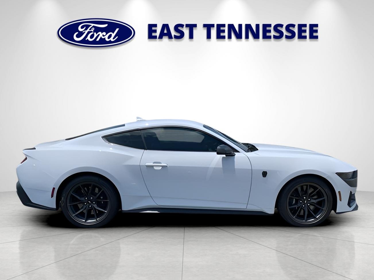 New 2025 Oxford White Ford Dark Horse image 2