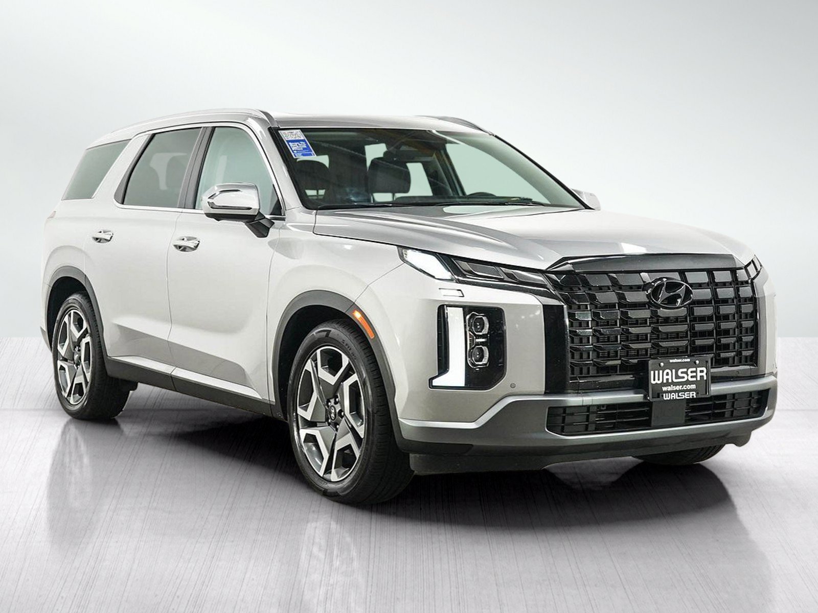 2025 Hyundai Palisade Limited - Photo 8