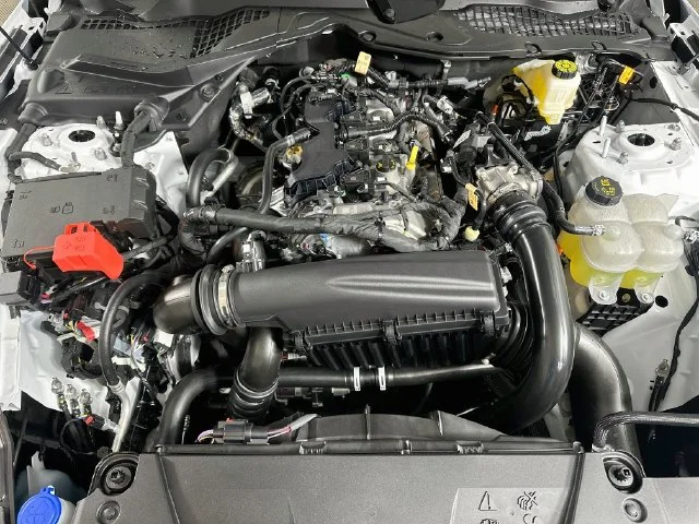 New 2026 White Ford EcoBoost image 19