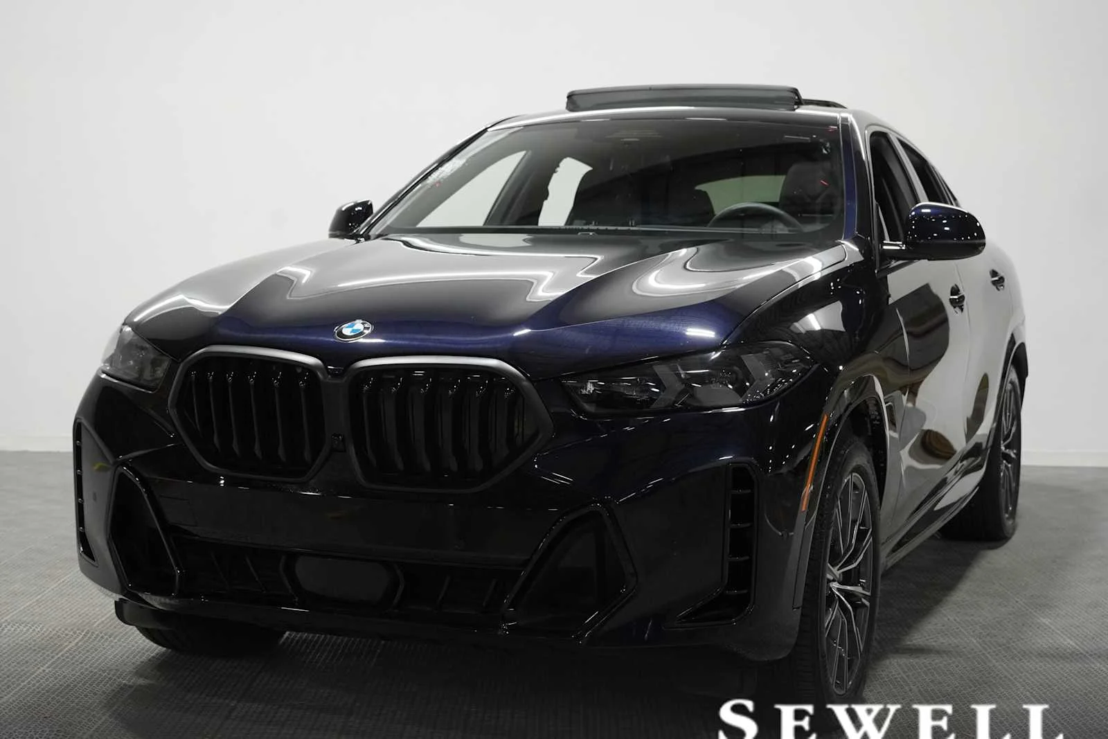2026 BMW X6 xDrive40i's photo