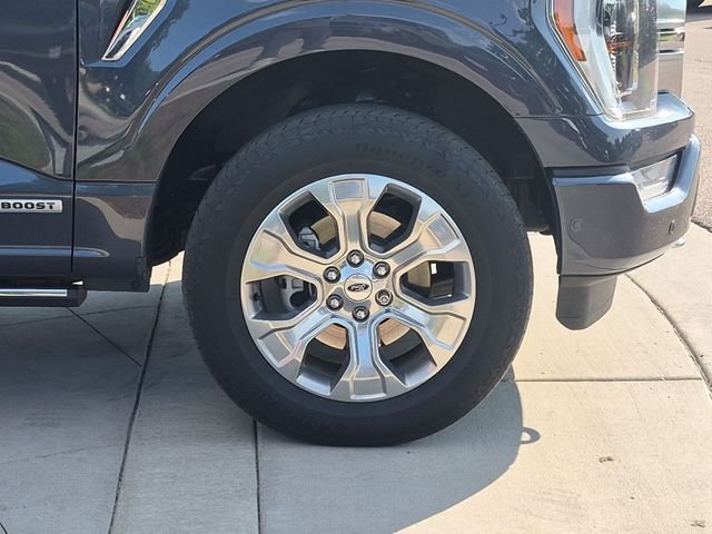 Used 2021  Ford Platinum image 9