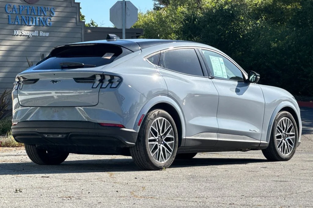 Used 2025 Gray Ford Premium image 4