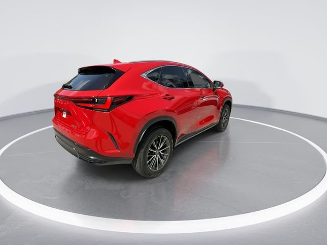 2023 Lexus NX 250 - Photo 8