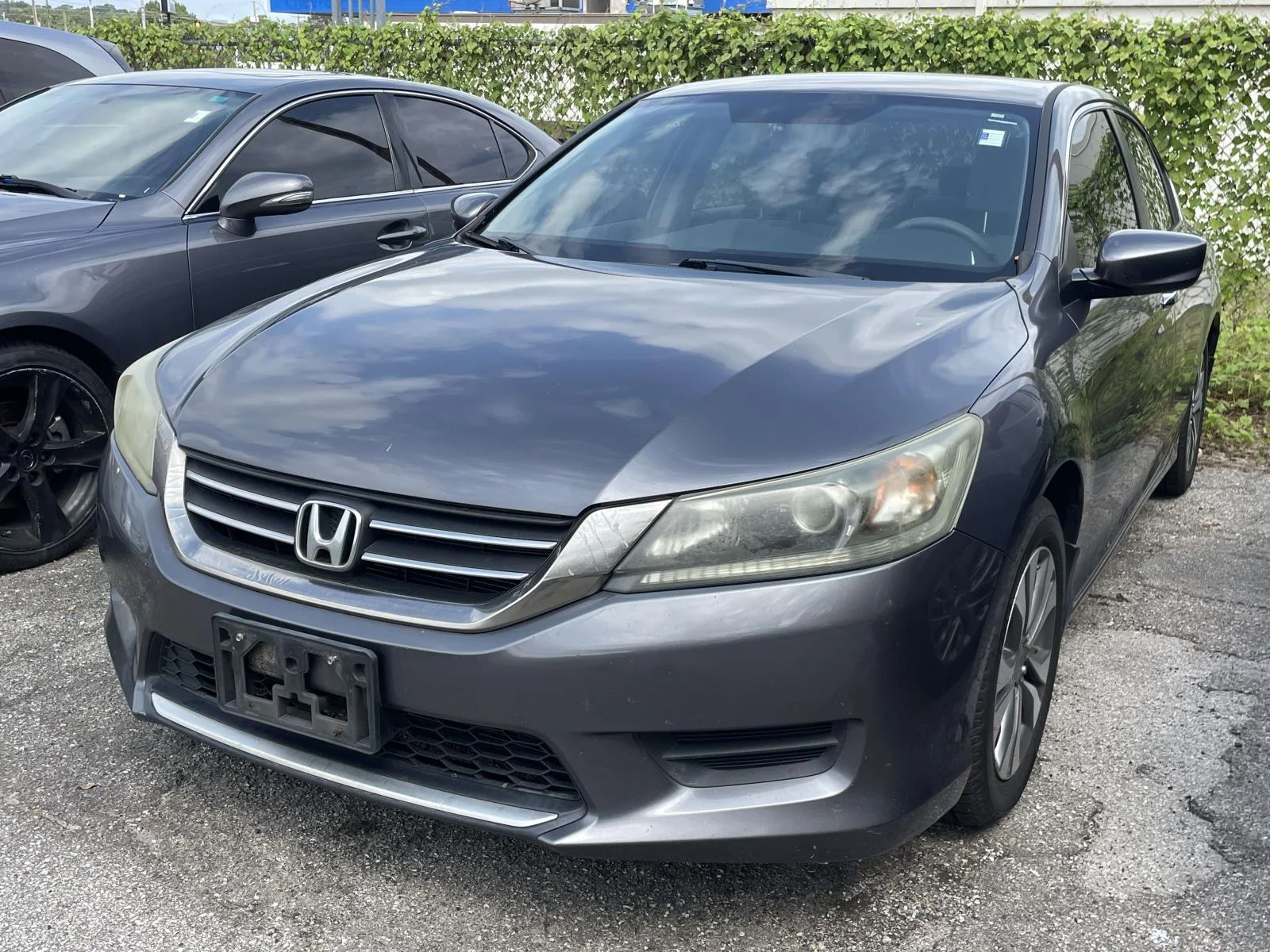 Used 2013 Gray Honda LX image 3