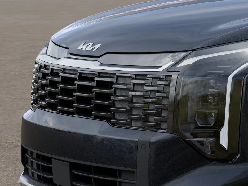 New 2026 Panthera Metal Kia EX image 12