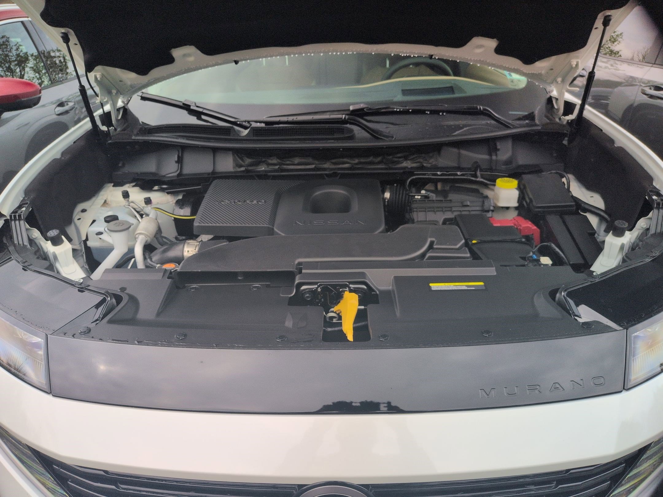 New 2026 Everest White Pearl TriCoat / Super Black Two-tone Nissan Platinum image 17