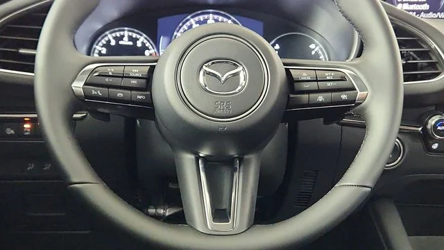 2025 Mazda Mazda3 Turbo Premium Plus - Photo 24