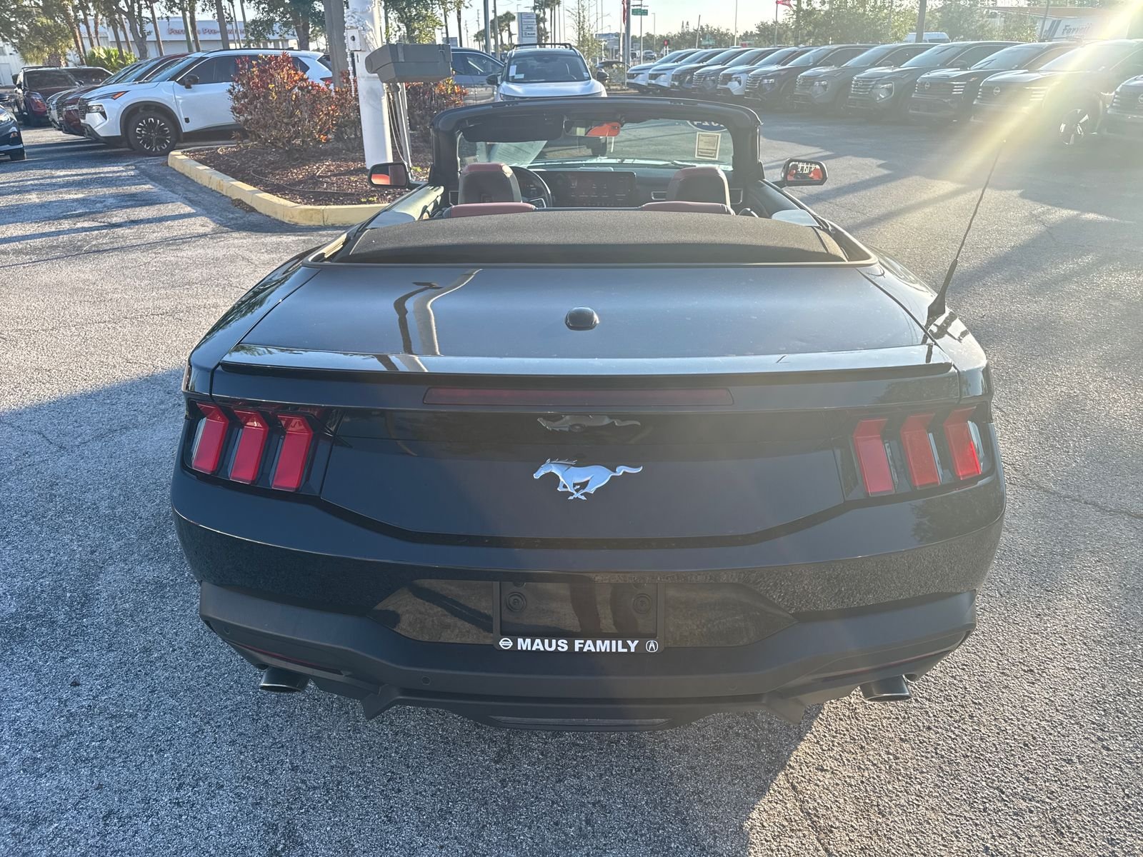 Used 2024 Black Ford EcoBoost Premium image 7