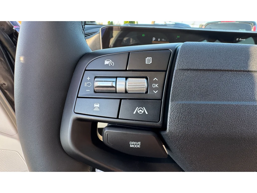 New 2026 Panthera Metal Gray Kia EX image 9