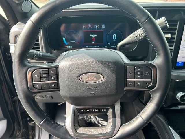 Used 2025 Black Ford Platinum image 31