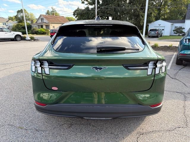 New 2026 Eruption Green Metallic Ford Premium image 4