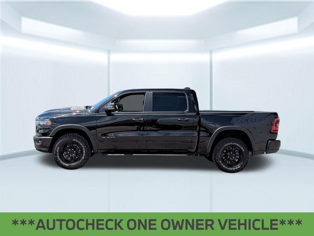 Used 2025 Black Ram Rebel image 2