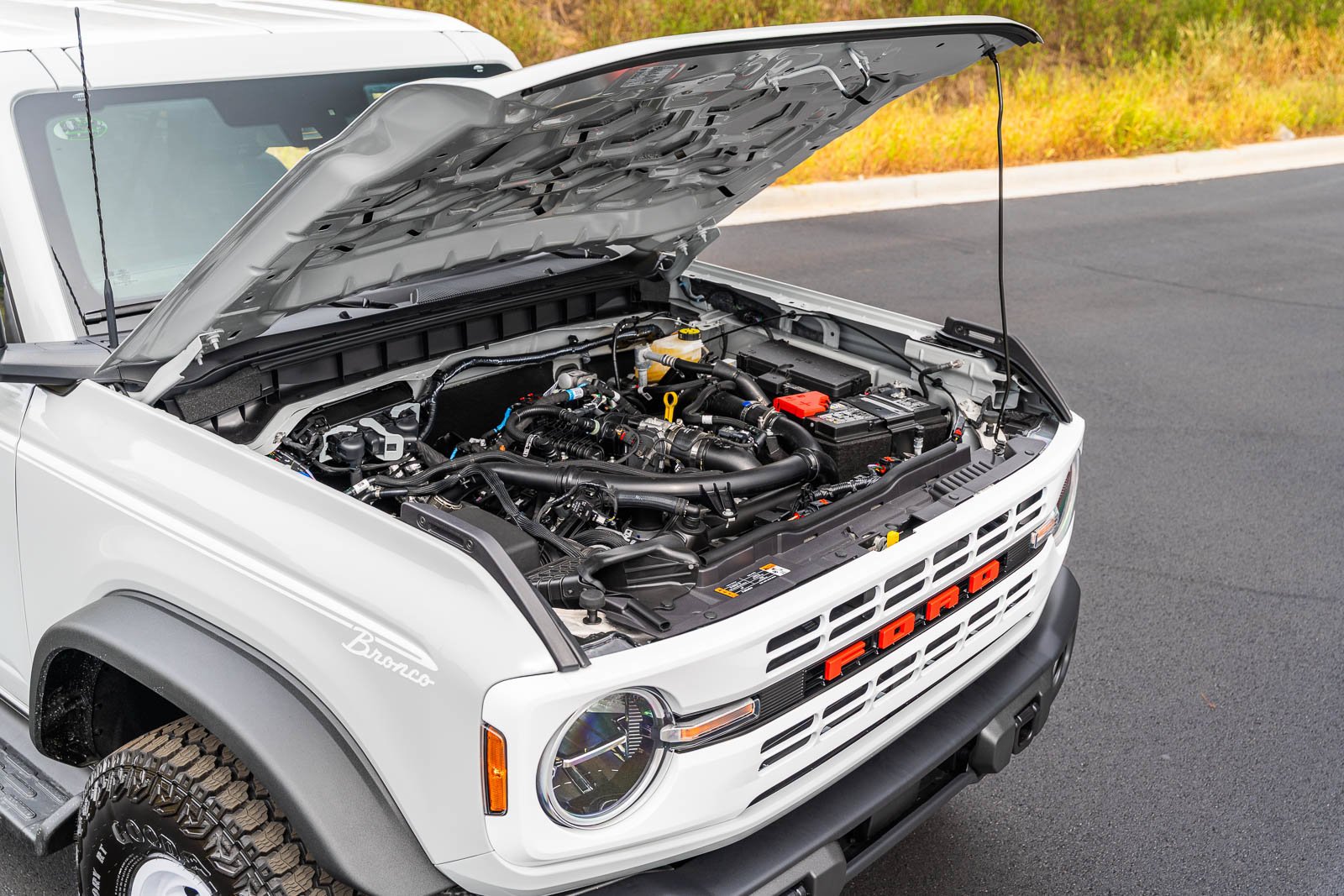 New 2026 Avalanche Gray Ford Heritage Edition image 23