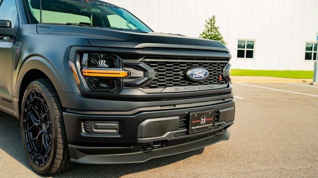 Used 2025 Black Ford Black Widow image 11