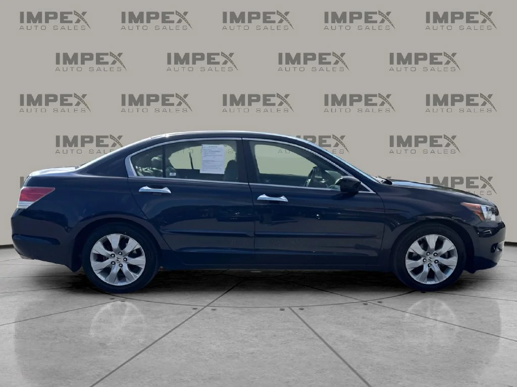 Used 2008 Blue Honda EX-L image 6