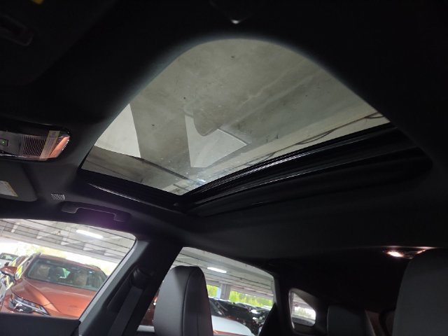 New 2026 Iridium Lexus  image 22