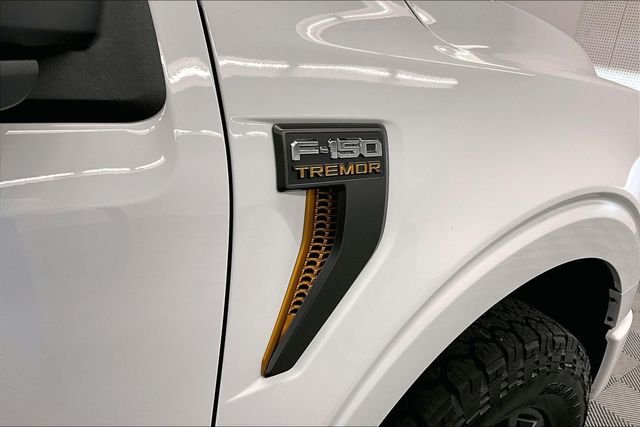 2025 Ford F-150 Tremor - Photo 11