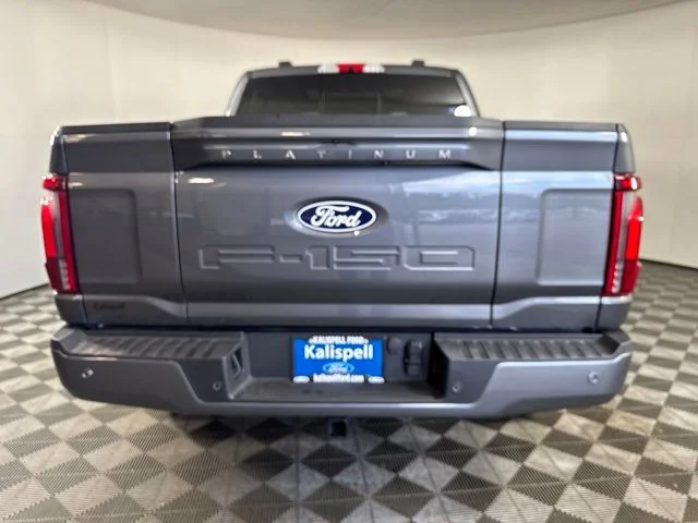 New 2026 Gray Ford Platinum image 19