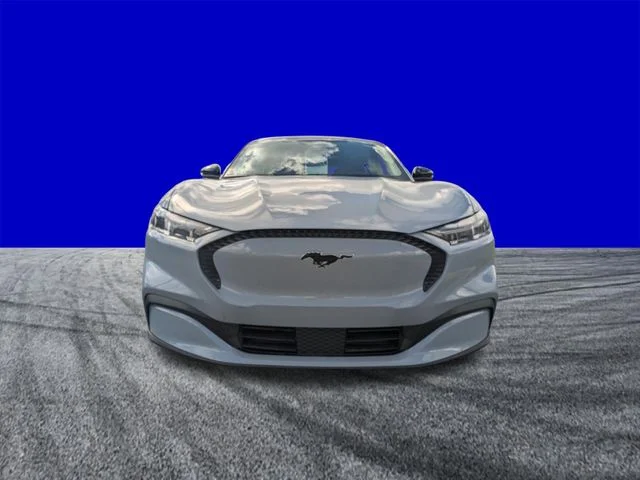 New 2026 Glacier Gray Metallic Tri-coat Ford Select image 8