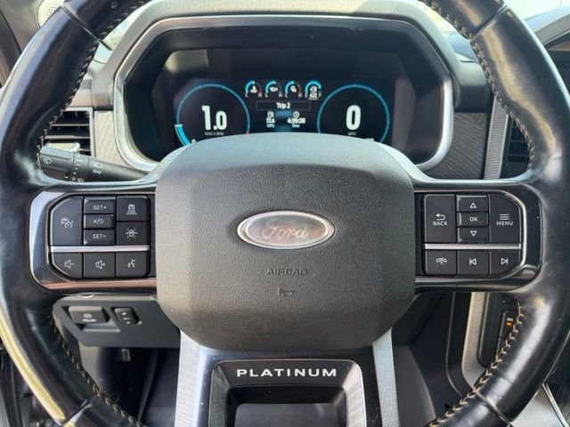 Used 2022 Silver Ford Platinum image 14