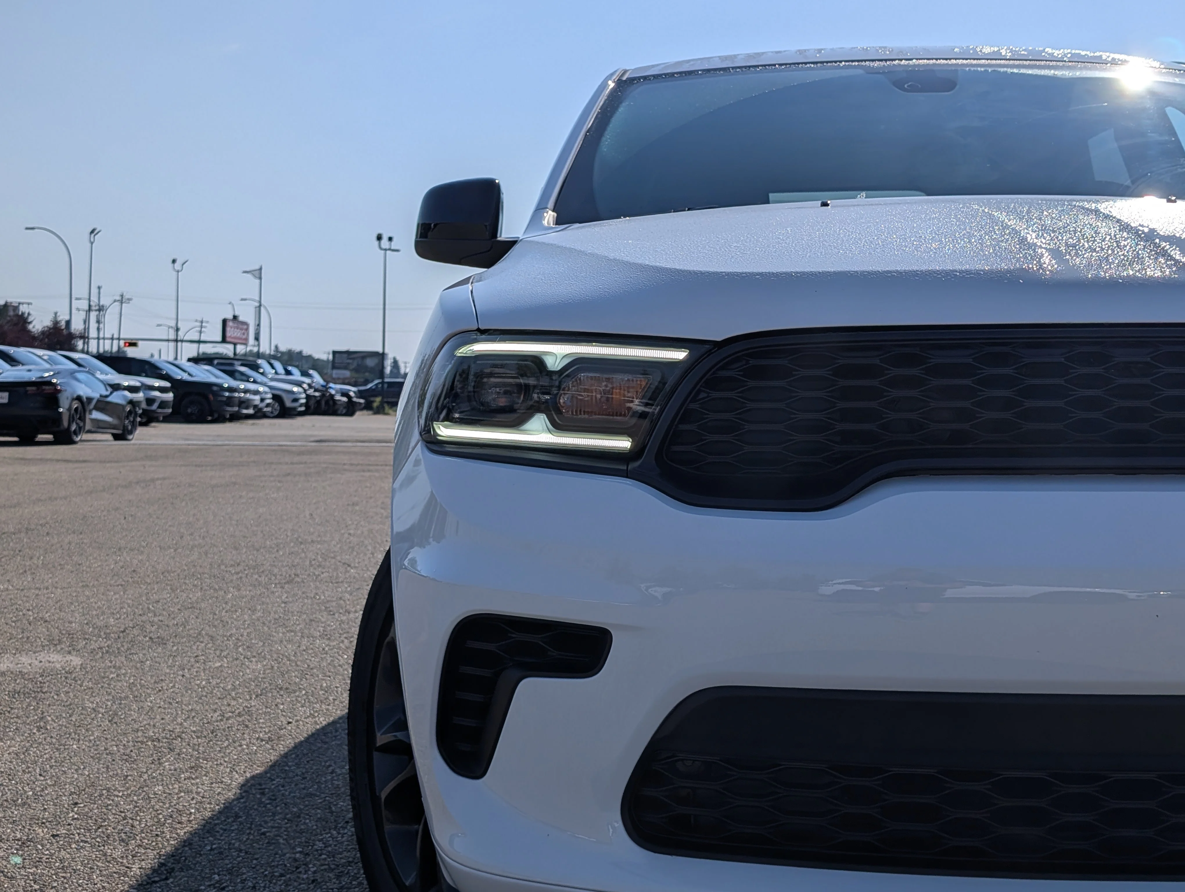 New 2026 White Knuckle Dodge GT image 11