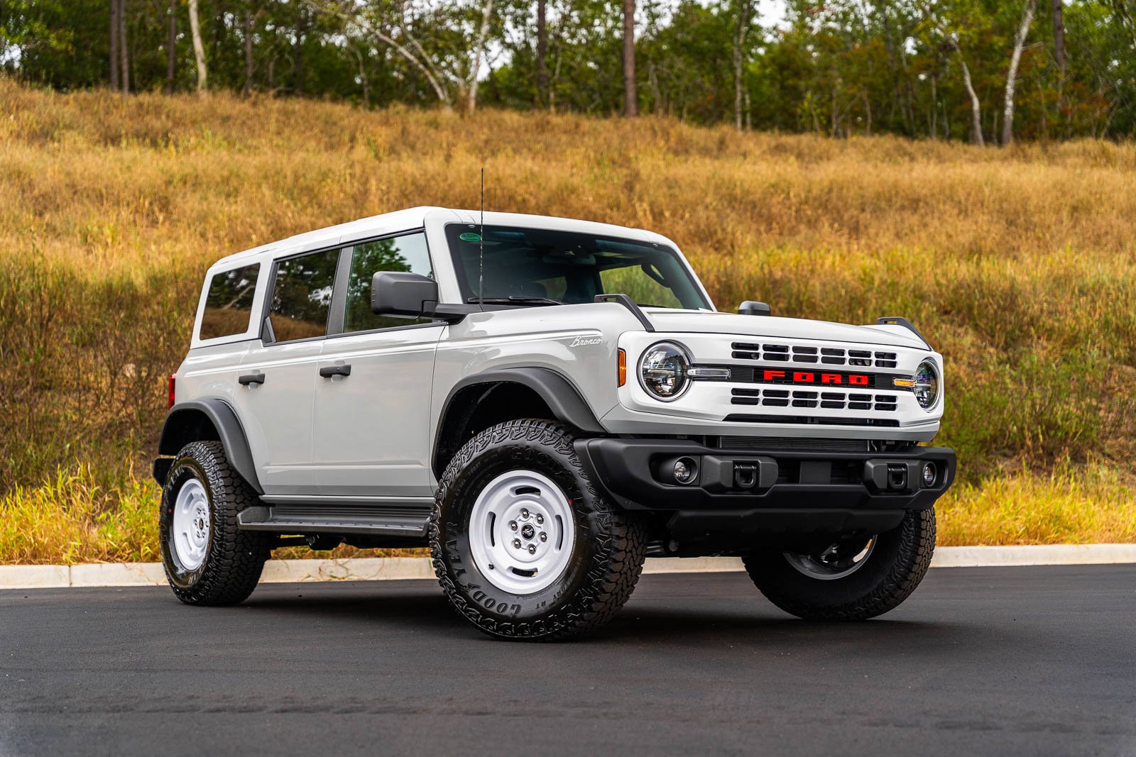 New 2026 Avalanche Gray Ford Heritage Edition image 5
