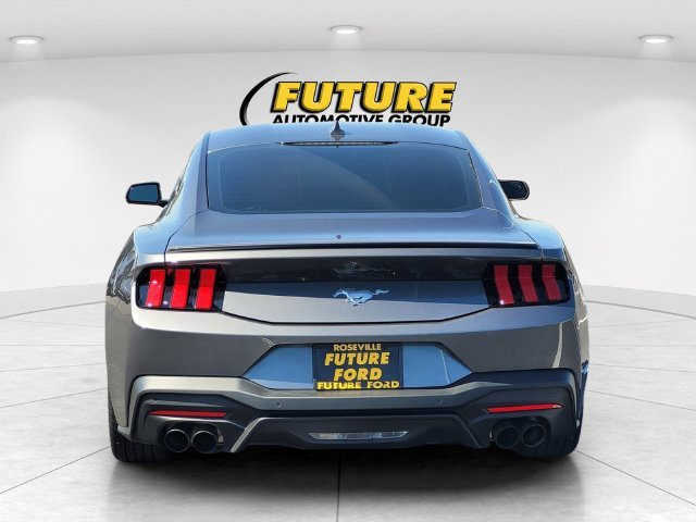 Used 2024 Gray Ford EcoBoost Premium image 8