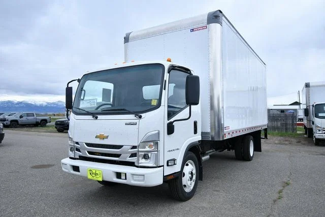 New 2024 Arc White Chevrolet NA image 5