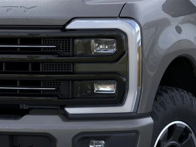 New 2026 Gray Ford Platinum image 18