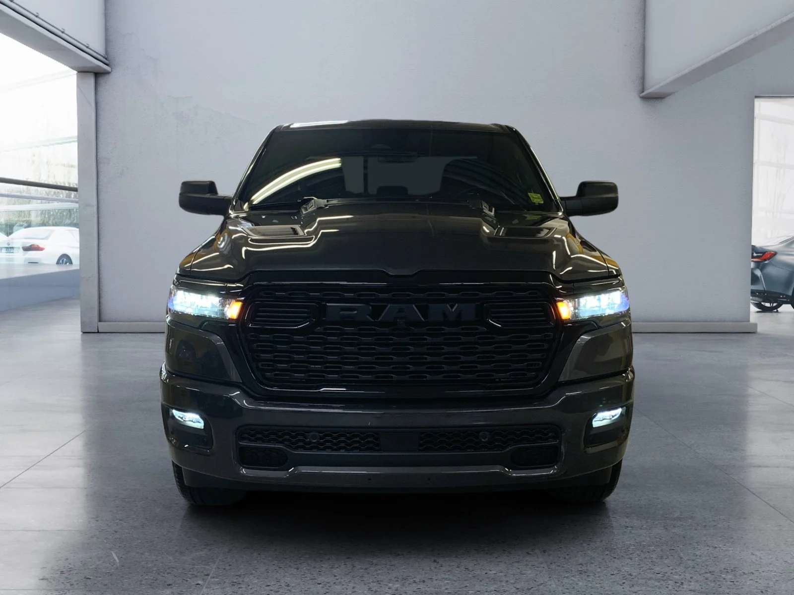 New 2026 Granite Crystal Metallic Ram Express image 8