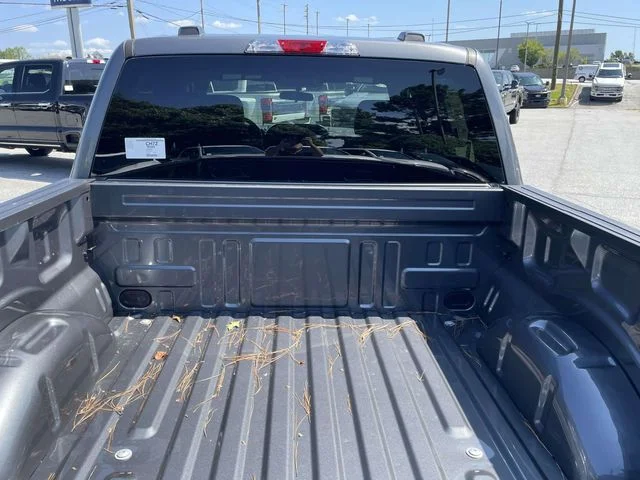 New 2026 Gray Ford STX image 8