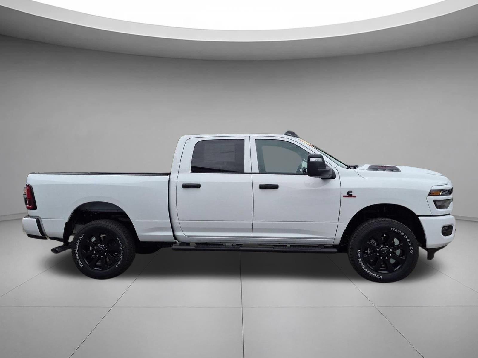 New 2026 Bright White Clear-Coat Exterior Paint RAM Black Express image 6