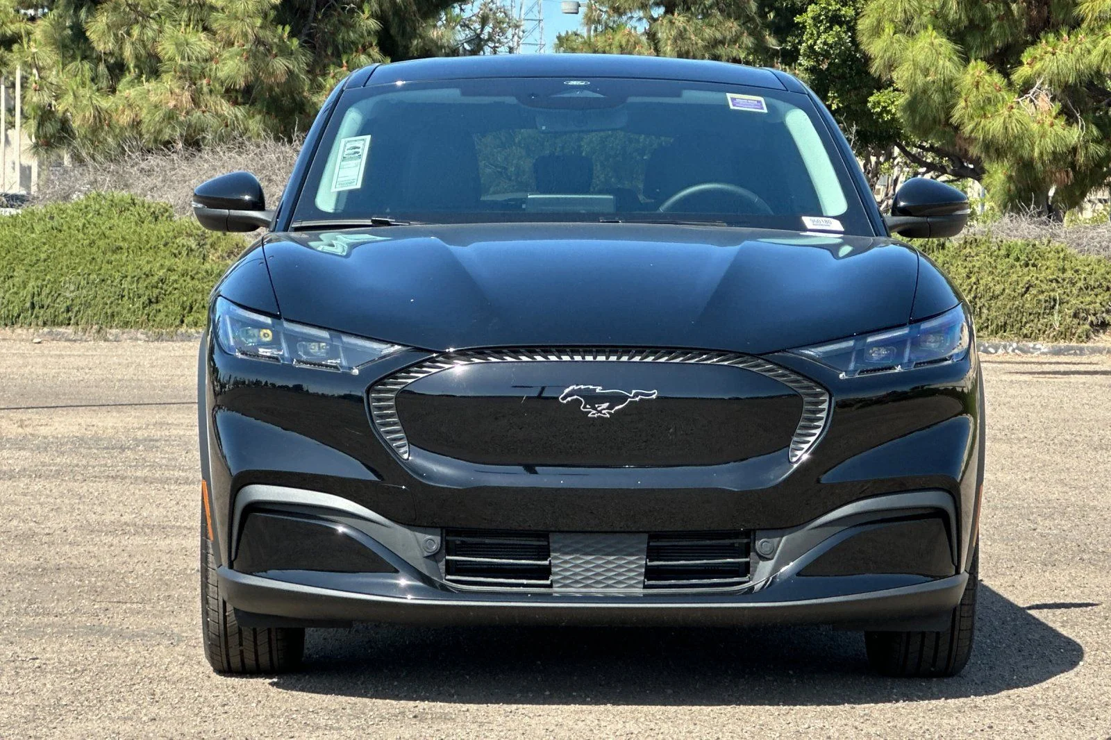 New 2026 Shadow Black Ford Select image 5
