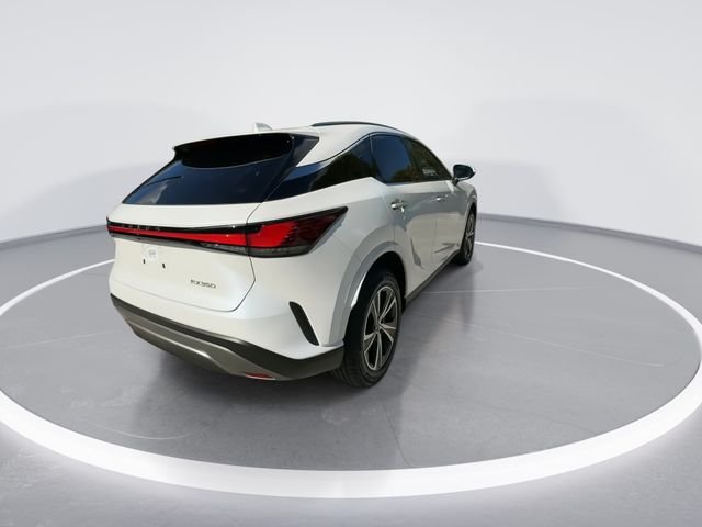 2024 Lexus RX 350 - Photo 8