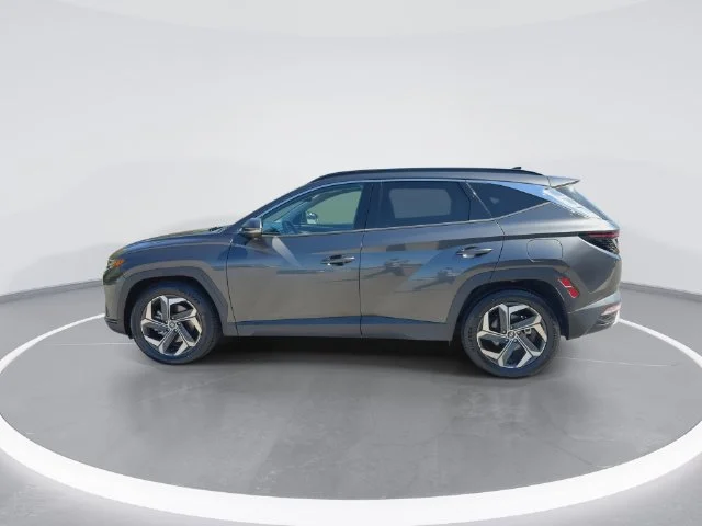 Used 2023 Gray Hyundai Limited image 5