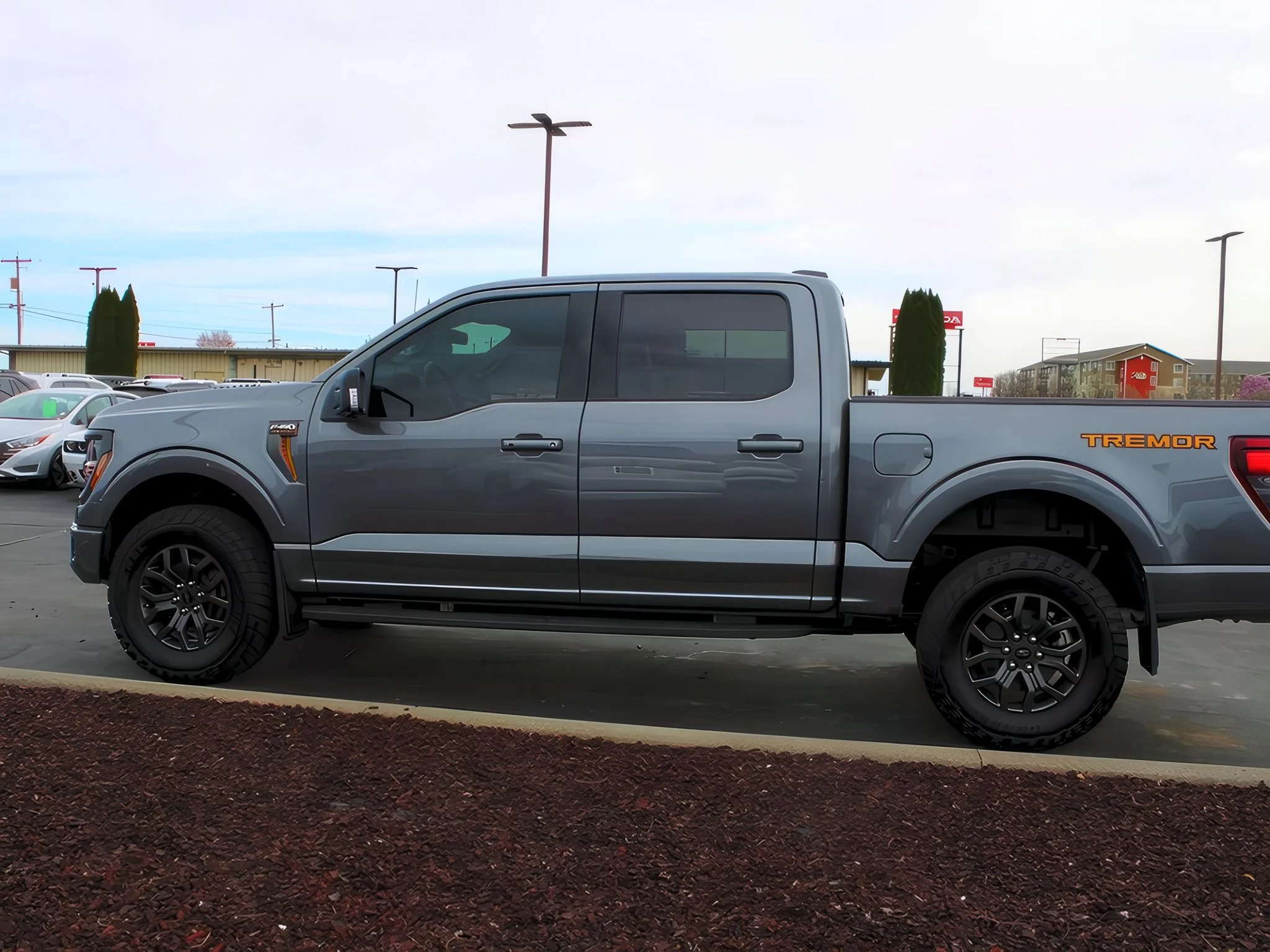 2025 Ford F-150 Tremor - Photo 21