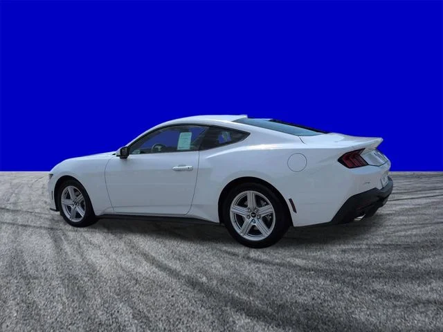 New 2026 Oxford White Ford EcoBoost® Fastback image 6