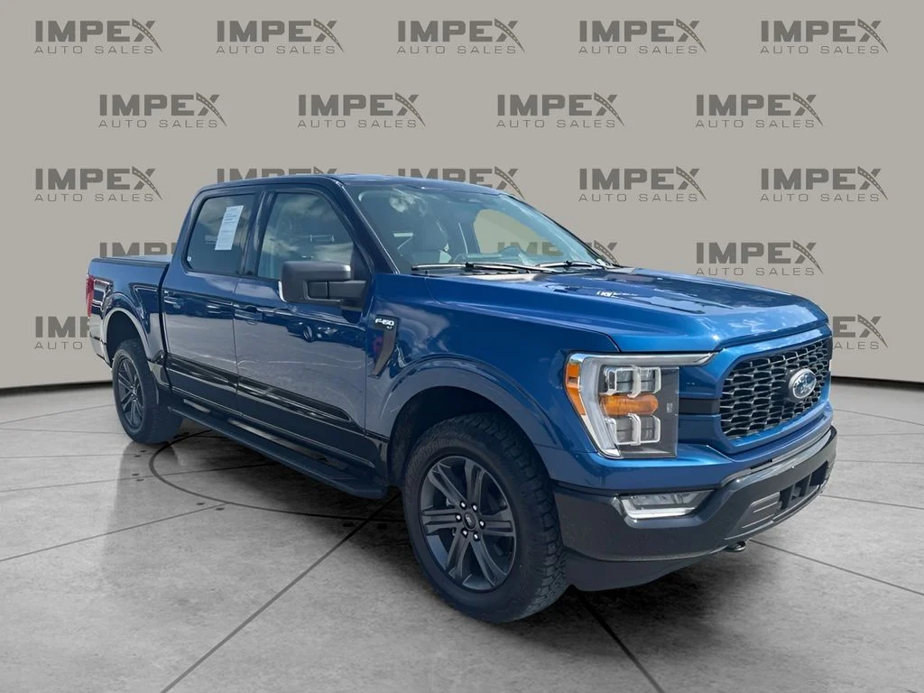 Used 2023 Blue Ford XLT image 4