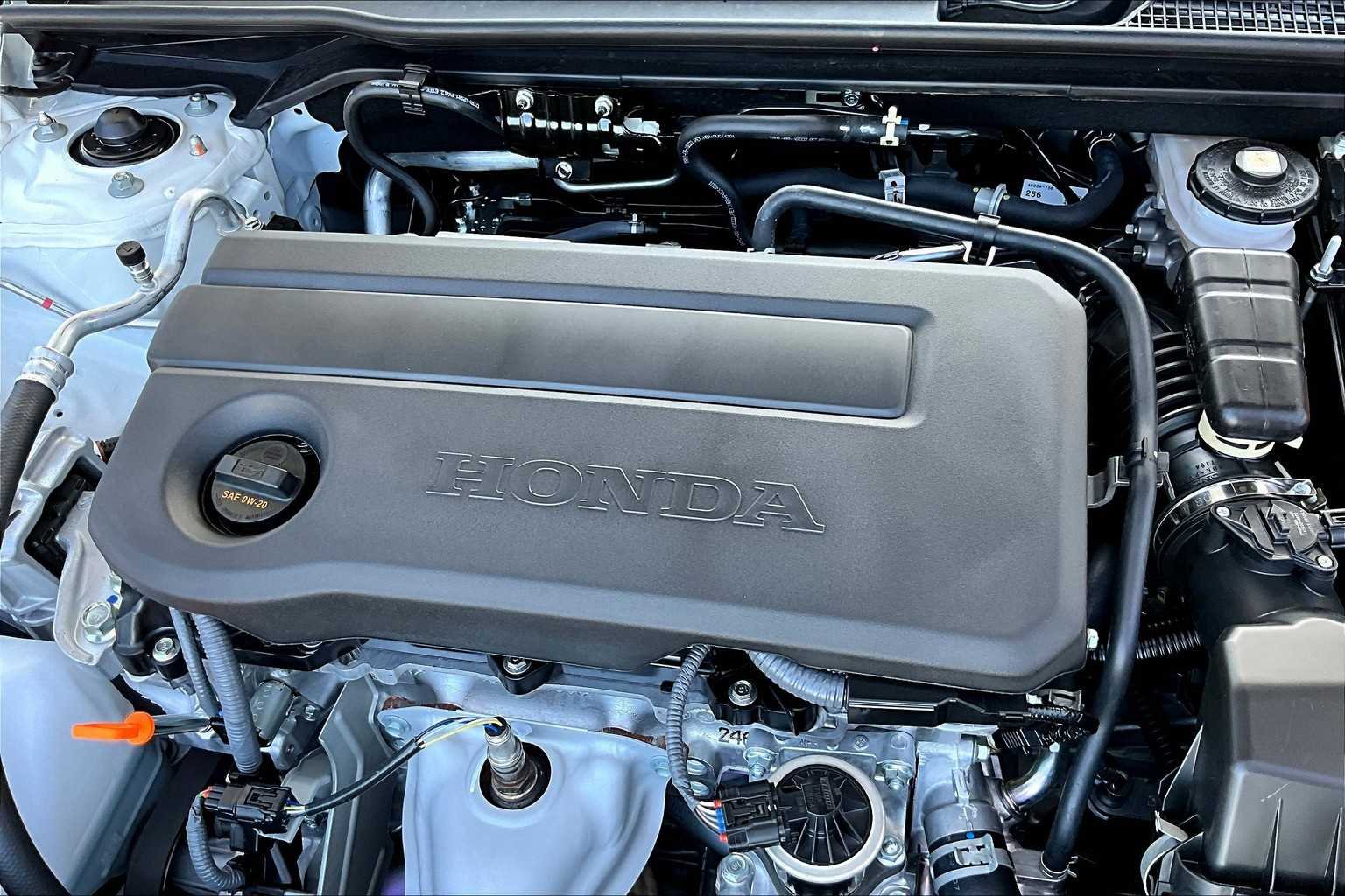 New 2026 Platinum White Pearl Honda LX image 17