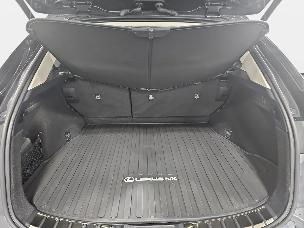New 2026 Cloudburst Gray Lexus PREMIUM image 12