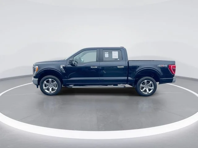 Used 2023 Blue Ford XLT image 5