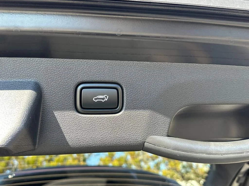 New 2026 Black Kia X-Line image 19