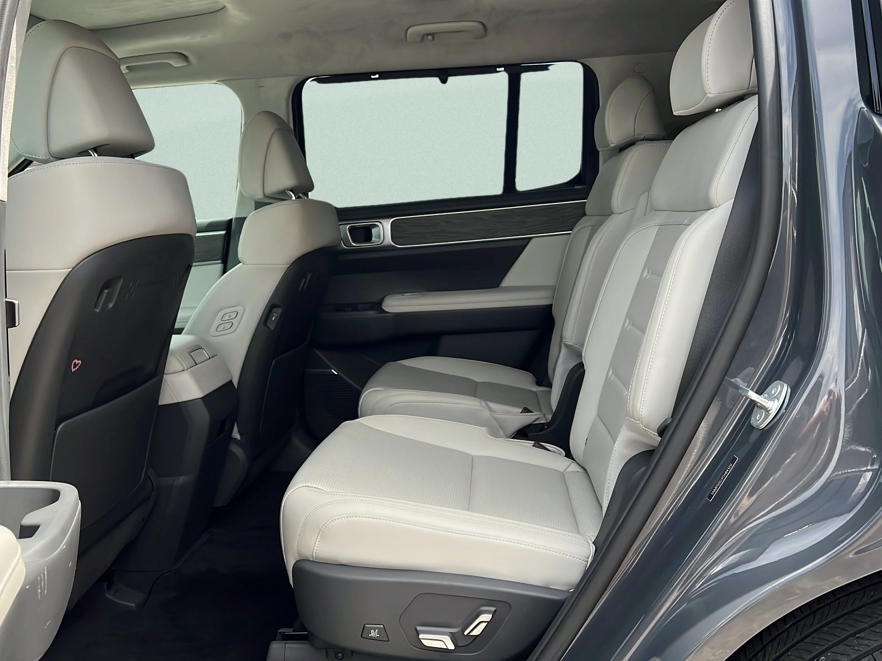 Used 2025 Ecotronic Gray Hyundai Calligraphy image 11