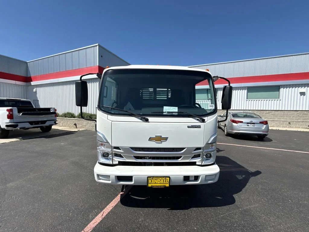 New 2025 Arc White Chevrolet  image 15