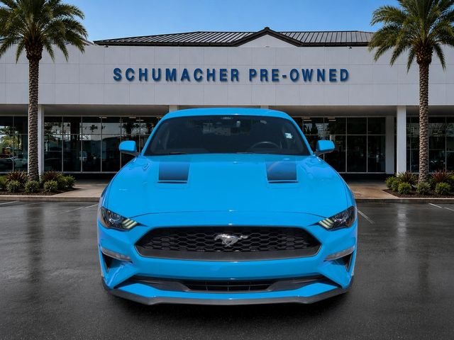 Used 2023 Grabber Blue Metallic Ford EcoBoost image 2