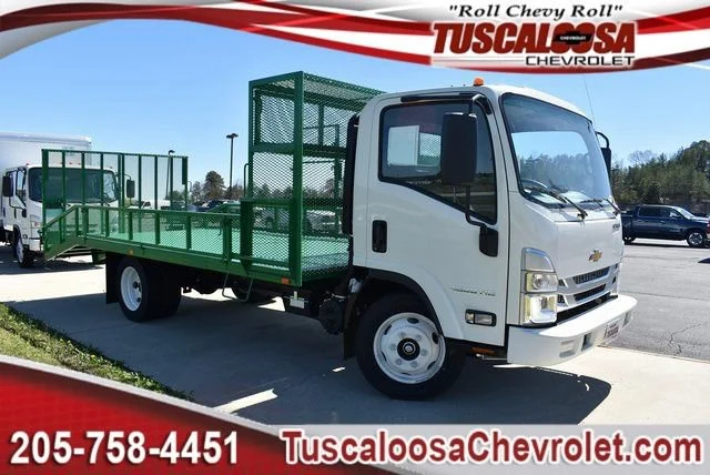 2025 Chevrolet Low Cab Forward 4500 Gas 176" WB Regular Cab's photo