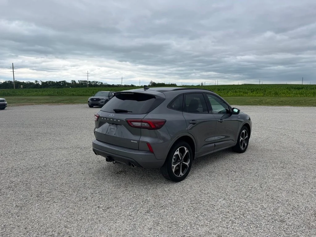 Used 2023 Gray Ford ST-Line Elite image 4