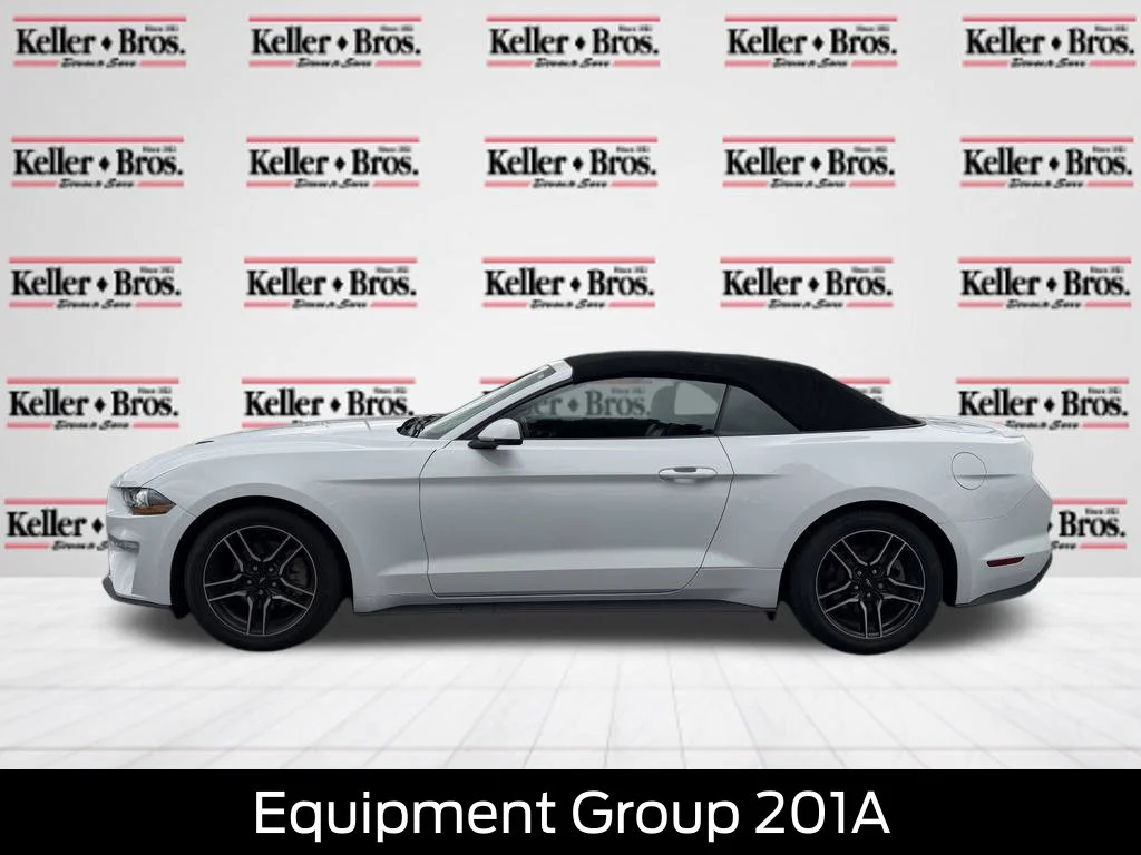Used 2019 Oxford White Ford EcoBoost Premium image 4